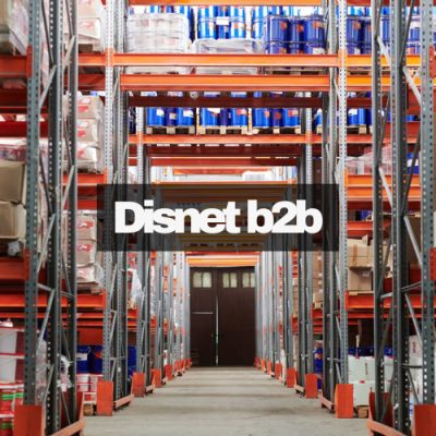 disnet-b2b