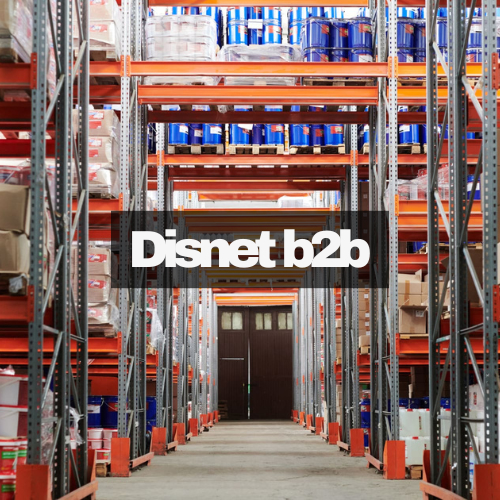 disnet-b2b